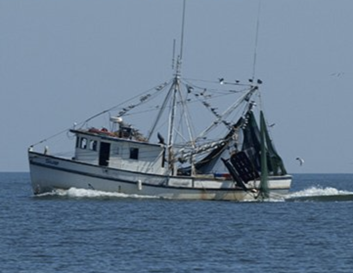 Georgia Shrimper Gets Six Years in Prison For Fraudulent Claims of Import Injury